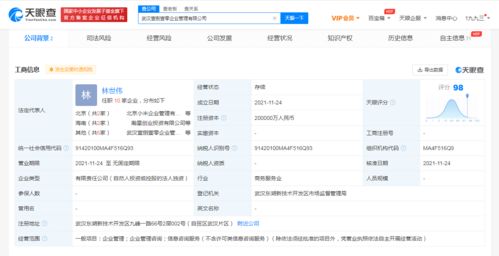 注冊資本20億元！小米在武漢成立企業管理公司，赤壁企業網站建設迎來新啟示